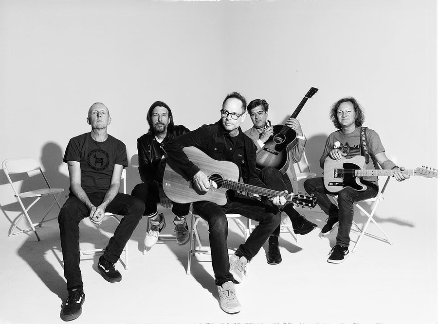 GIN BLOSSOMS - Pig Hog