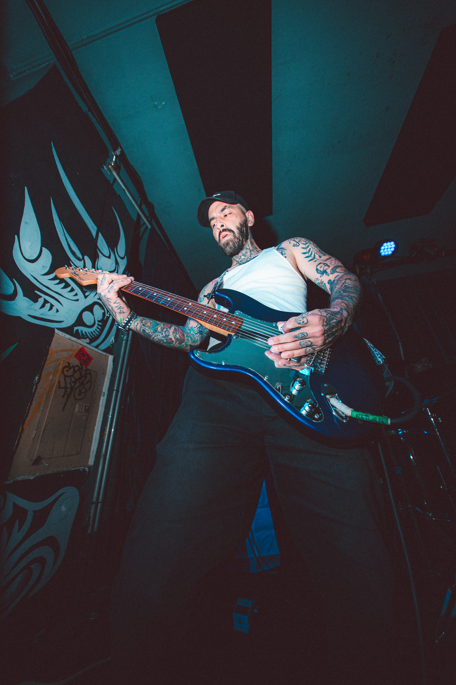 Josh Gomez Pig Hog Cables