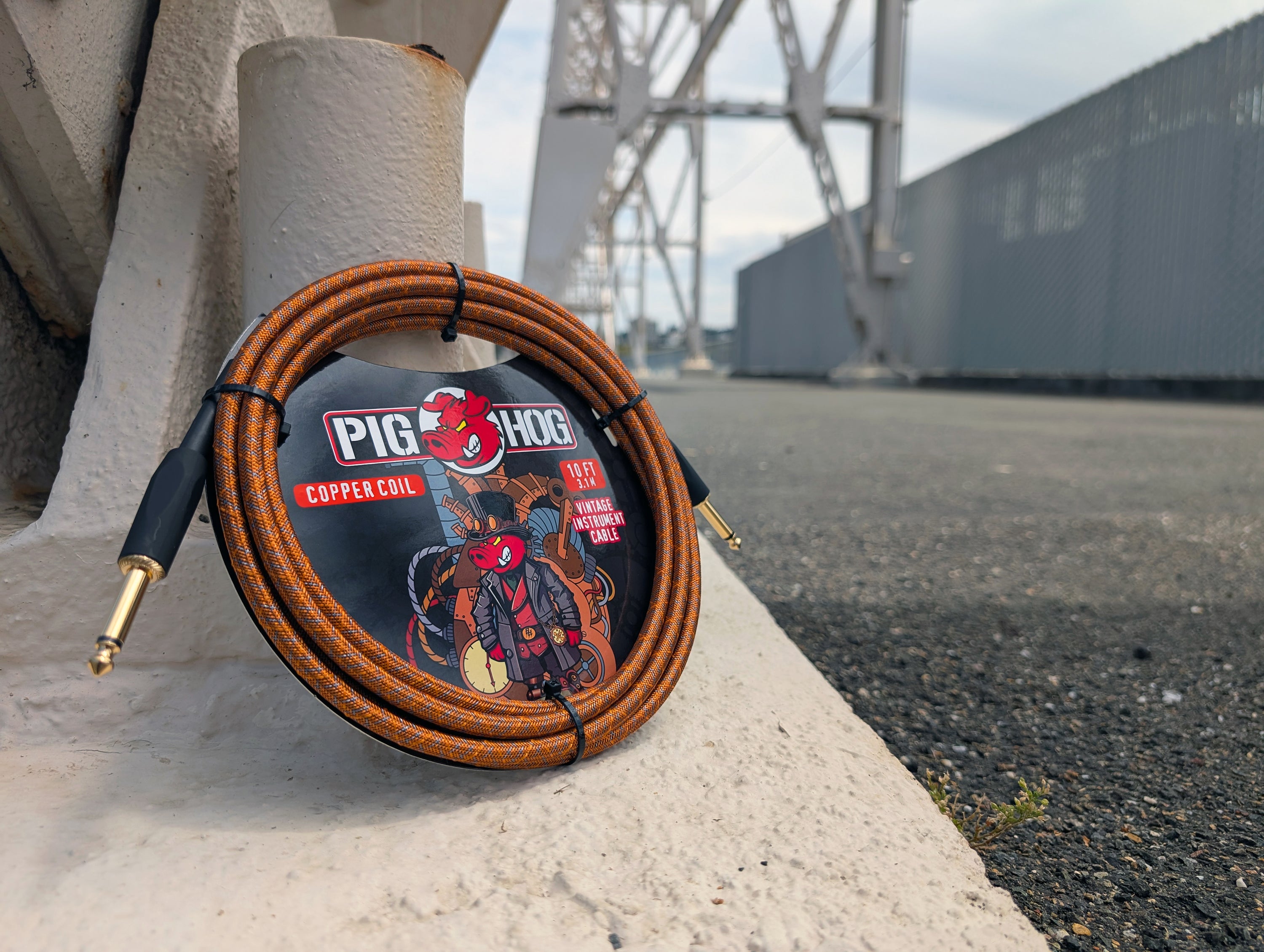 Pig Hog "Copper Coil" Instrument Cable, 20ft
