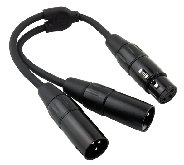 Pig Hog Solutions - 6" Y Cable, XLR(F)-Dual XLR(M)