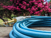 Pig Hog "Daphne Blue" Instrument Cable, 20ft Right Angle